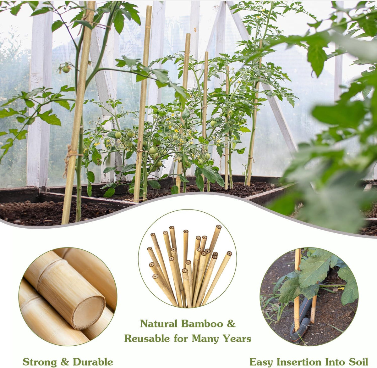 Plant Stakes 18inch, 20Pcs Natural Bamboo Sticks Garden Stakes, HAINANSTRY Plant Support Stakes for Indoor & Outdoor Plants, Orchid Tomato Vegetable Stakes for Garden