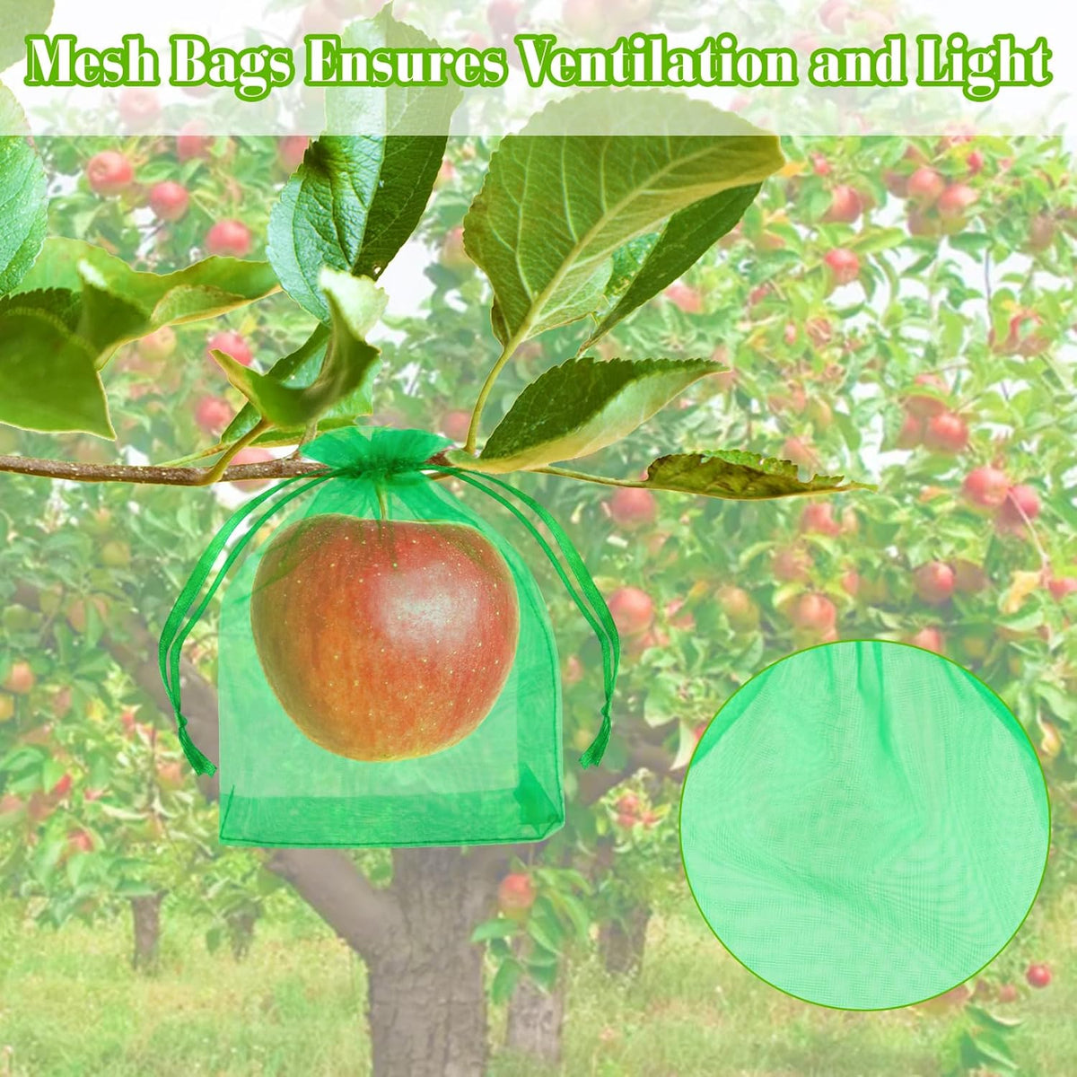 Morcheiong 60Pcs Protection Bags 8" x 12", Reusable Netting for Fruit Trees, Garden Mesh With Drawstring (Dark Green), M1076MCHYB