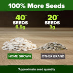 HOME GROWN 𝗨𝗦𝗔 𝗣𝗥𝗘𝗠𝗜𝗨𝗠 5 Pumpkin Seeds Mix - 40 Seeds 𝗡𝗢𝗡-𝗚𝗠𝗢 Heirloom Pumpkin for Planting Ideal Garden for Unique Varieties Yellow Paris and Casper, Culinary and Decorative Use