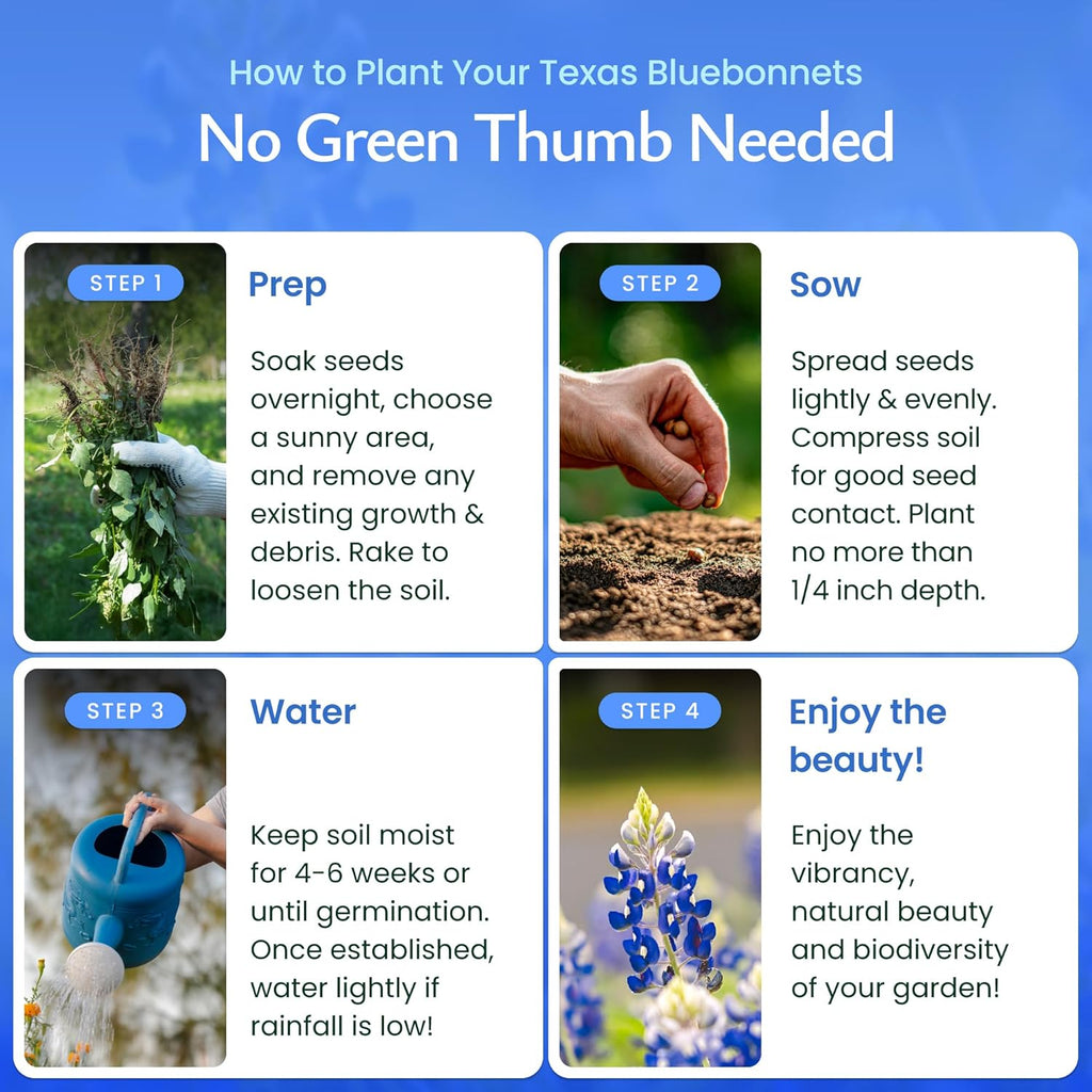 Created By Nature Texas Bluebonnet Seeds, 750+ Wildflower Seeds, Texas State Flower
