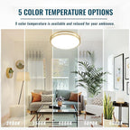24 inch Gold Ceiling Light Fixture 48W, LED Dimmable Close to Ceiling Light Fixture 5CCT, Modern Flush Mount Ceiling Light for Living Room, Bedroom, Bathroom, Kitchen