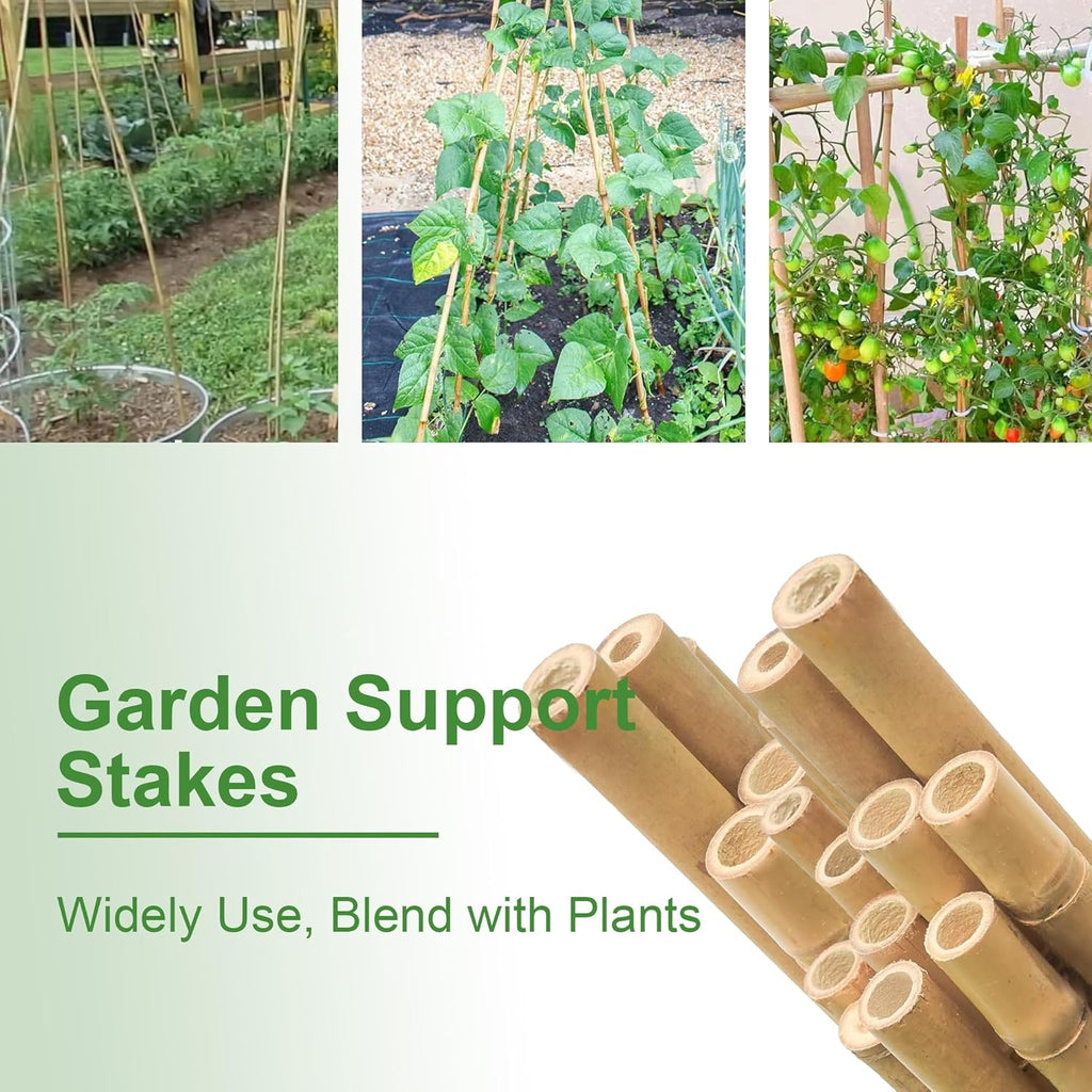 Bamboo Garden Stakes 2FT/3FT/4FT/4.8FT/6FT/7FT/8FT, Plant Stakes for Outdoor Plants, Plant Support Stakes Tomato, Vegetables Beans Trees Climbing Plants (6FT, Pack of 20)