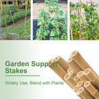 Garden Stakes 7FT, Natural Bamboo Stakes 7 Feet, 3/4" D Thicker Heavy Duty Plants Stakes 15 Pack for Tomatoes, Beans, Flowers, Potted and More Climbing Plants