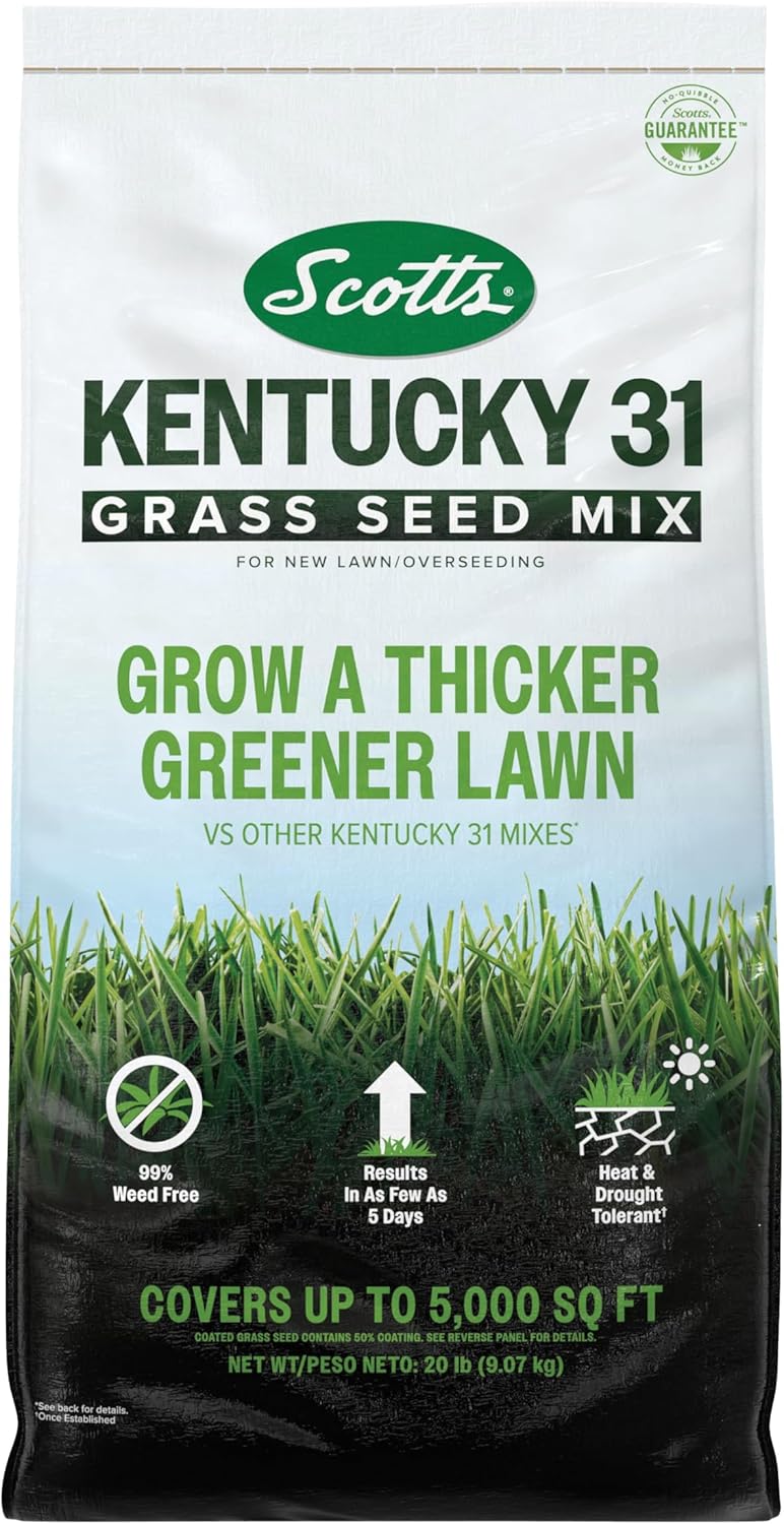 Scotts Kentucky 31 Grass Seed Mix for New Lawns or Overseeding, Grows Thicker and Greener vs. Other Kentucky 31 Mixes, Covers up to 5,000 sq. ft.