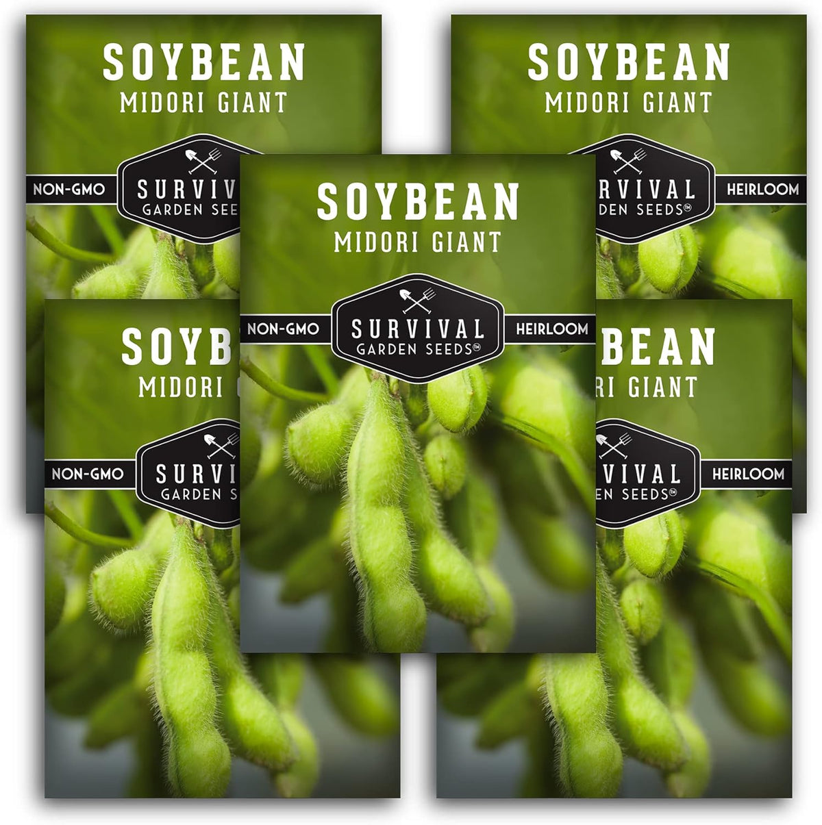 Midori Giant Soybean Seeds for Planting - Grow Protein-Rich Edamame Pods in Your Home Vegetable Garden - Non-GMO Heirloom Soy Bean - Survival Garden Seeds (5 Packs)