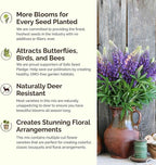 Eden Brothers Arkansas Wildflower Mixed Seeds for Planting, 1 lb, 480,000+ Seeds with African Daisy, Cosmos | Attracts Pollinators, Plant in Spring or Fall, Zones