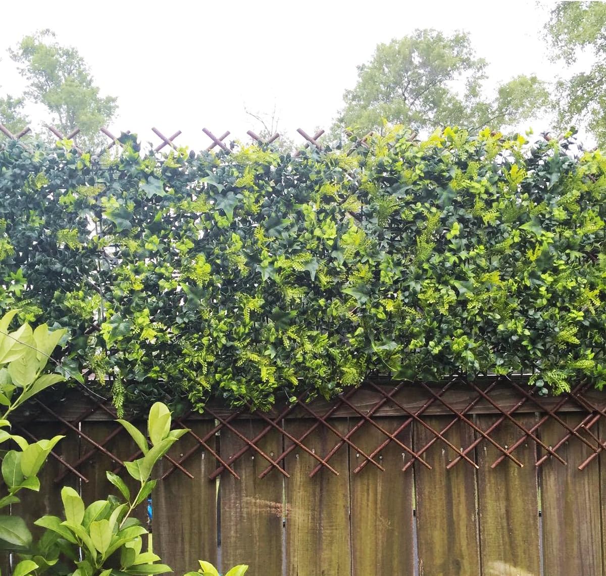Expandable Garden Trellis Plant Support Willow Lattice Fence Panel for Climbing Plants Vine Ivy Rose Cucumbers Clematis