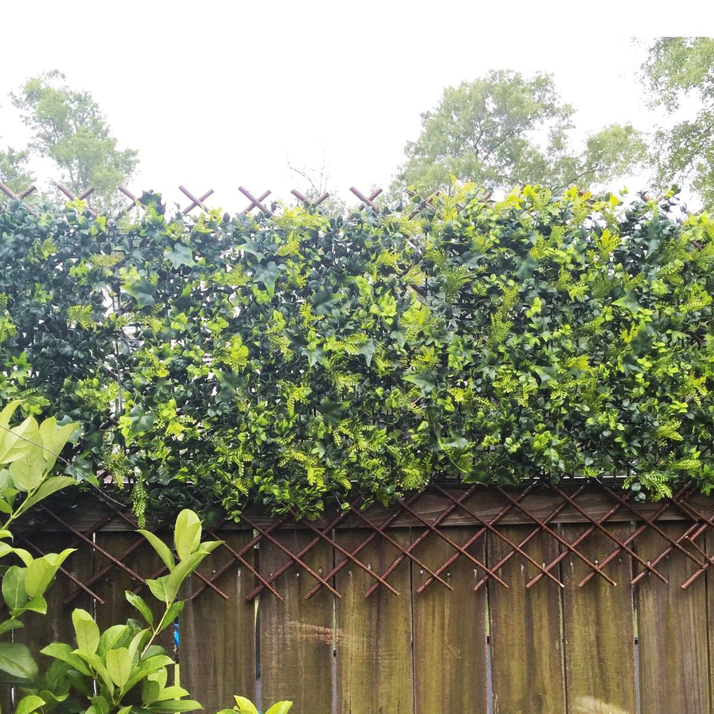 Expandable Garden Trellis Plant Support Willow Lattice Fence Panel for Climbing Plants Vine Ivy Rose Cucumbers Clematis 36X92 Inch