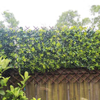 Expandable Garden Trellis Plant Support Willow Lattice Fence Panel for Climbing Plants Vine Ivy Rose Cucumbers Clematis 36X92 Inch