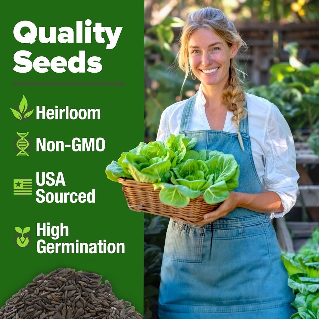HOME GROWN 𝗨𝗦𝗔 𝗣𝗥𝗘𝗠𝗜𝗨𝗠 Buttercrunch Lettuce Seeds Bulk Pack - 1975 Heirloom 𝗡𝗢𝗡-𝗚𝗠𝗢 Seeds for Hydroponic Garden Indoor Outdoor - Butter Lettuce Vegetable for Planting (Lactuca Sativa)