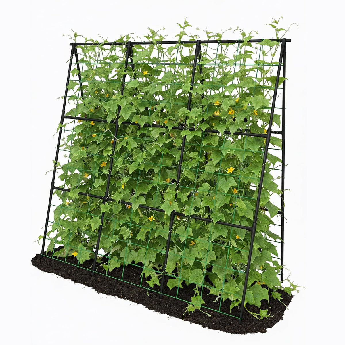 Trellume Cucumber Trellis - 49.4"*49.4" Metal Garden Trellis for Climbing Plants, Garden Trellis with Plastic-Coated Steel Pipe, A Frame Trellis for Cucumbers, Peas, Morning Glories(Black)