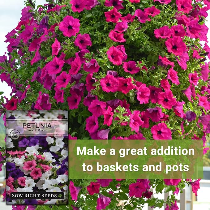Sow Right Seeds - Dwarf Mixed Petunia Seeds to Plant - Full instructions for Planting and Growing a Flower Garden - Non-GMO Heirloom Seeds - Annual Hanging Basket Flower - Wonderful Gardening Gift (2)