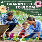 Shade Tolerant Mix – 56,000 Wildflower Seeds for Pollinator Gardens – 2026 Season – 4 Ounce Pouch