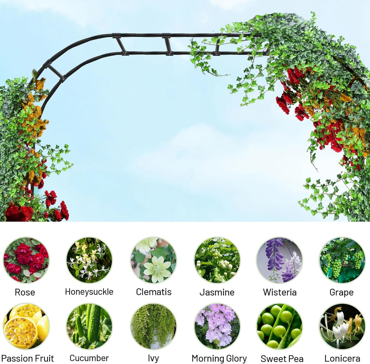 Twira Garden Arch Trellis, 7.9FT(240cm) Metal Garden Arbor Trellis for Climbing Plants Outdoor, Large Wedding Arch for Ceremony, Black Archway Trellises Decoration for Lawn, Patio, Backyard