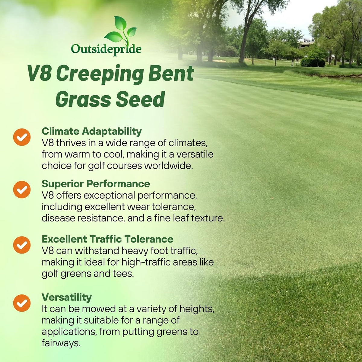 Outsidepride V8 Creeping Bentgrass Seed - 5 lbs. Fine-Bladed, Premium Quality Turf, Grass Seeds for Smooth Surface, & High-Traffic Areas, Ideal Grass for Golf Courses Putting Greens, & Fairways