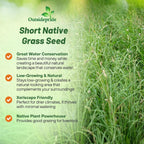 Outsidepride Perennial Short Native Grass Seed Mix - 1 lb. Premium Mix of Blue Grama, Buffalo, Sideoats Grama, & Sheep’s Fescue Grass Seeds for Low-Maintenance, Heat & Drought-Tolerant Landscaping