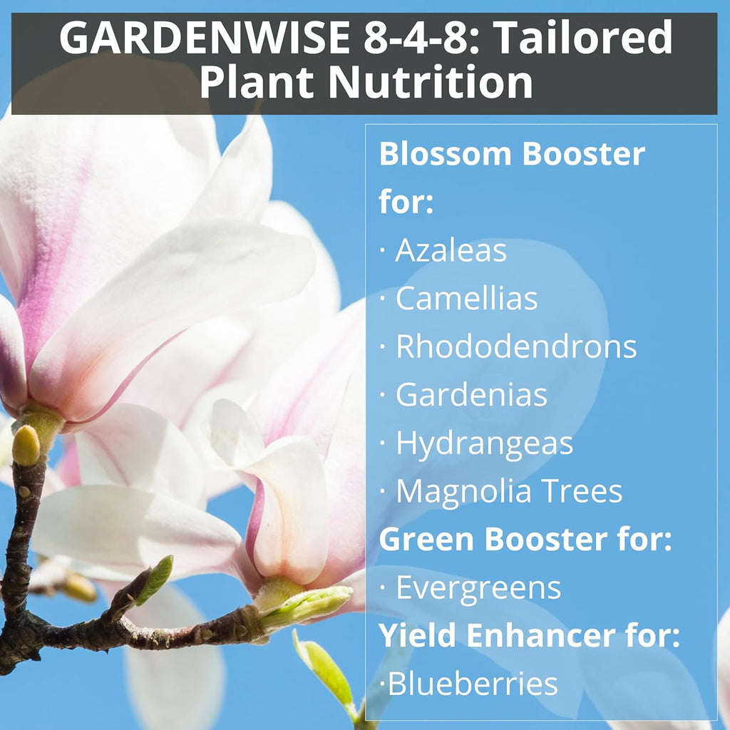 8-4-8 Acidic Fertilizer for Azaleas, Camellias (Camelia), Hydrangeas, Blueberries, Gardenias, Magnolia Trees, Evergreens, and Rhododendrons - Ideal Iron-Rich Plant Food (12 OZ)