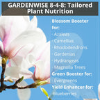 8-4-8 Acidic Fertilizer for Azaleas, Camellias (Camelia), Hydrangeas, Blueberries, Gardenias, Magnolia Trees, Evergreens, and Rhododendrons - Ideal Iron-Rich Plant Food (3 QUARTS)