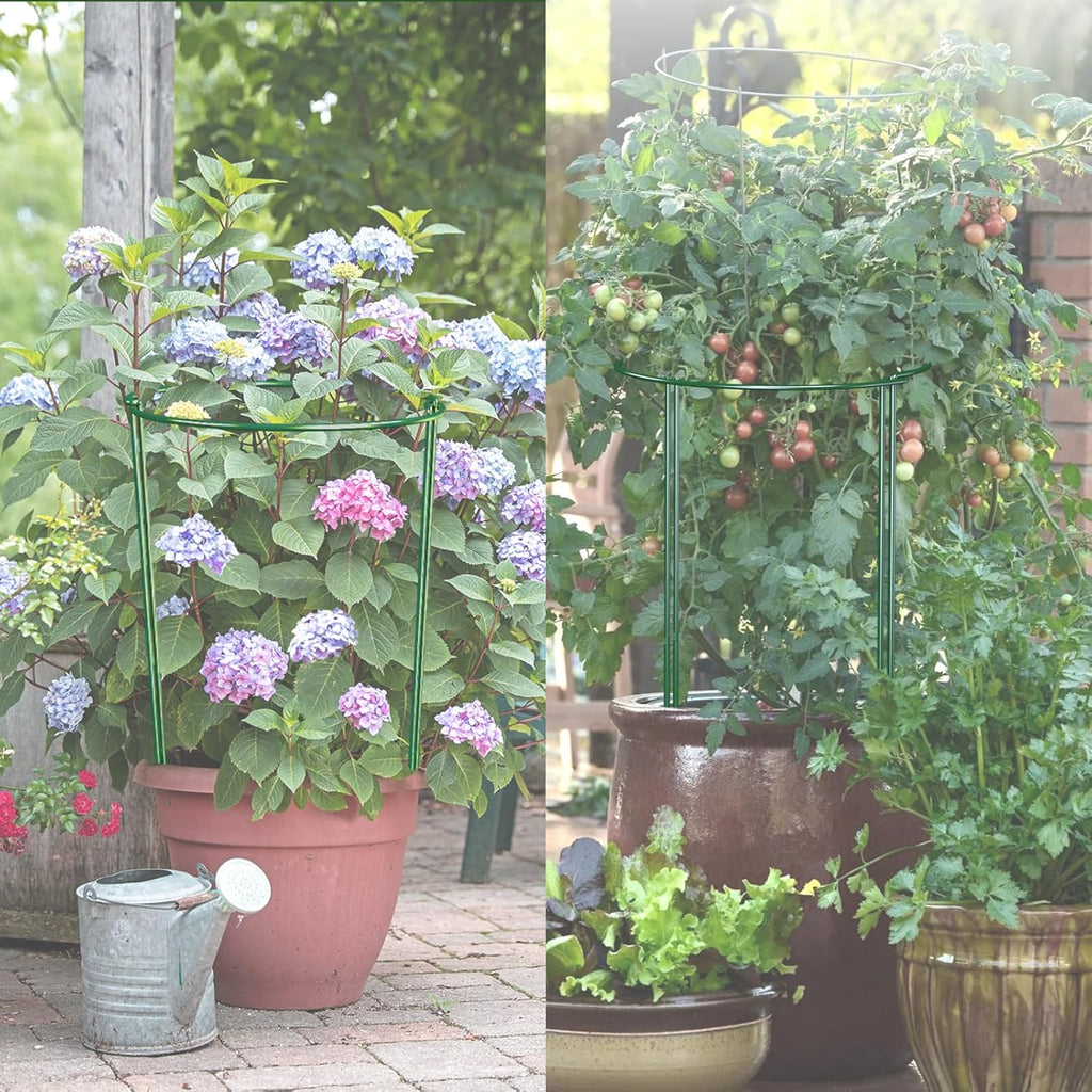 12 Pack 24 inch Plant Support Stakes, Half-Round Metal Garden Flower Stakes, Large Peony Support Ring and Cage for Indoor and Outdoor Plants, Hydrangea, Tomato, Rose, Monstera with Plant Ties