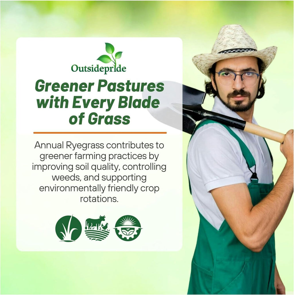 Outsidepride Ryegrass Seeds - 25 lb. Annual, Hardy & Fast-Growing, Cover Crop Seeds for Planting Glossy Dark Green Grass Leaves, Ideal for Hay Foraging, Pasture Grazing & Erosion Control