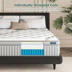 Lechpeus Queen Mattress,14 Inch Medium Plush Hybrid Mattress in Box,MDI Soft Memory Foam & 7-Zone Pocket Springs,Motion Isolation& Back Pain Relief,Enhanced Support Queen Bed,None Fiberglass