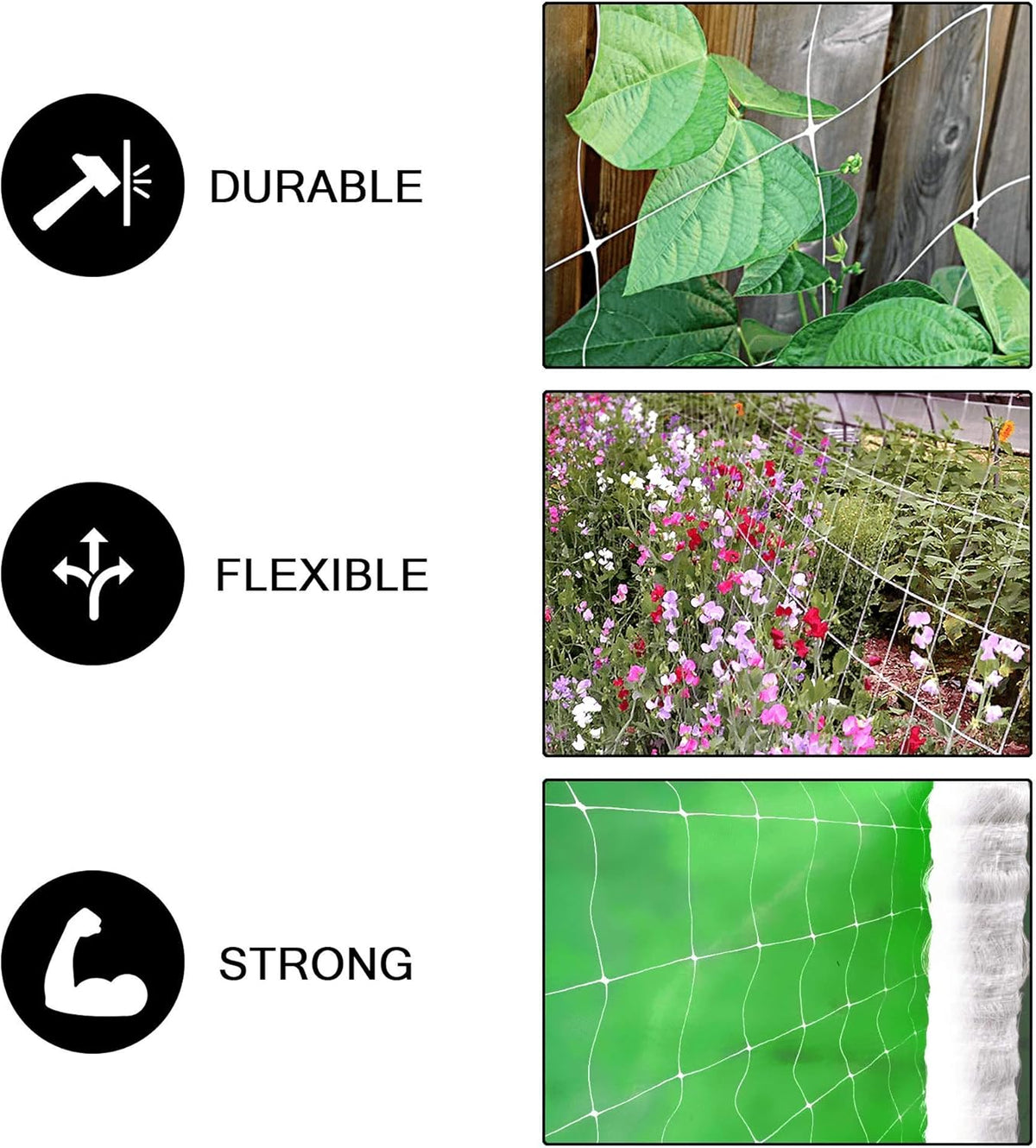 COMMON CULTURE Professional Grade Trellis Netting Bulk Roll, 5 x 4920 ft (60" x 4920' | 1.52m x 1500m), 6' (15 cm) Squares Heavy Duty Scrog Net with Scissors
