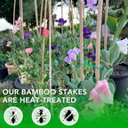 SWANGSA 40 Pack Bamboo Stakes for Plant 6 Feet,Bamboo Sticks Garden Plant Support Stakes Poles with 200pcs Twist Ties for Tomatoes, Beans, Flowers, Trees, Indoor and Outdoor Climbing Plants