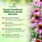 Outsidepride Purple Echinacea Coneflower Seeds - 1 lb Perennial, Deer-Proof & Drought Tolerant Flower Seeds with Daisy-Like Blooms for Pollinator-Friendly Gardens, Borders, & Meadows