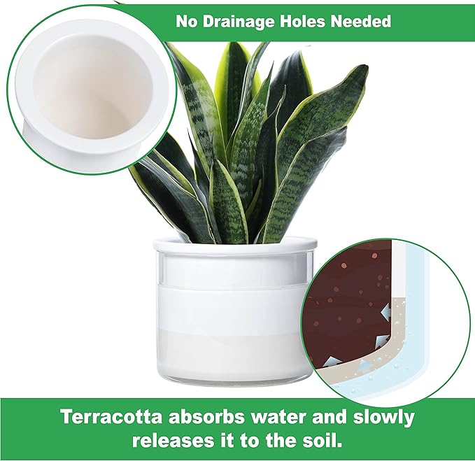 Phoenix Vine 6 Inch 4 Inch Self Watering Planter Pots, Design White Terracotta Pots for Plants, Indoor Cylinder Terra Cotta Pots with Glass Vase Set, 51-B-G-46