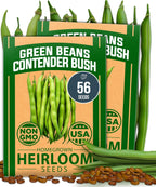 HOME GROWN Contender Bush Seeds - 56 𝗡𝗢𝗡-𝗚𝗠𝗢 𝗨𝗦𝗔-𝗦𝗢𝗨𝗥𝗖𝗘𝗗, Heirloom Green Beans for Planting - Emergency Food Supply (Phaseolus vulgaris)