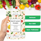 Woods Creek Seeds: Jack O Lantern Pumpkin Seeds for Planting - Over 40 Heirloom Non-GMO Pumpkin Seeds to Plant - Ideal Heirloom Seeds to Grow for Decor & Fall Harvest - Pumpkins for Outdoor Gardens