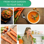 Woods Creek Seeds: Little Fingers Carrot Seeds for Planting - Over 2,800 Heirloom Carrot Seed Pack - Non-GMO Carrots Seeds for Planting Outdoors or Indoors - Beginner Friendly Vegetable Gardening