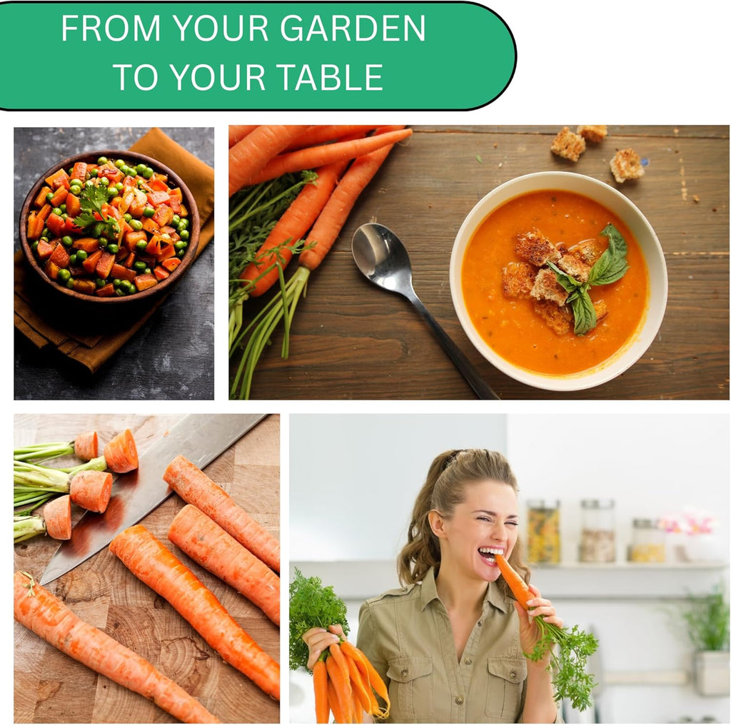Woods Creek Seeds: Scarlet Nantes Carrot Seeds for Planting - Over 2,800 Heirloom Carrot Seed Pack - Non-GMO Carrots Seeds for Planting Outdoors or Indoors - Beginner Friendly Vegetable Gardening