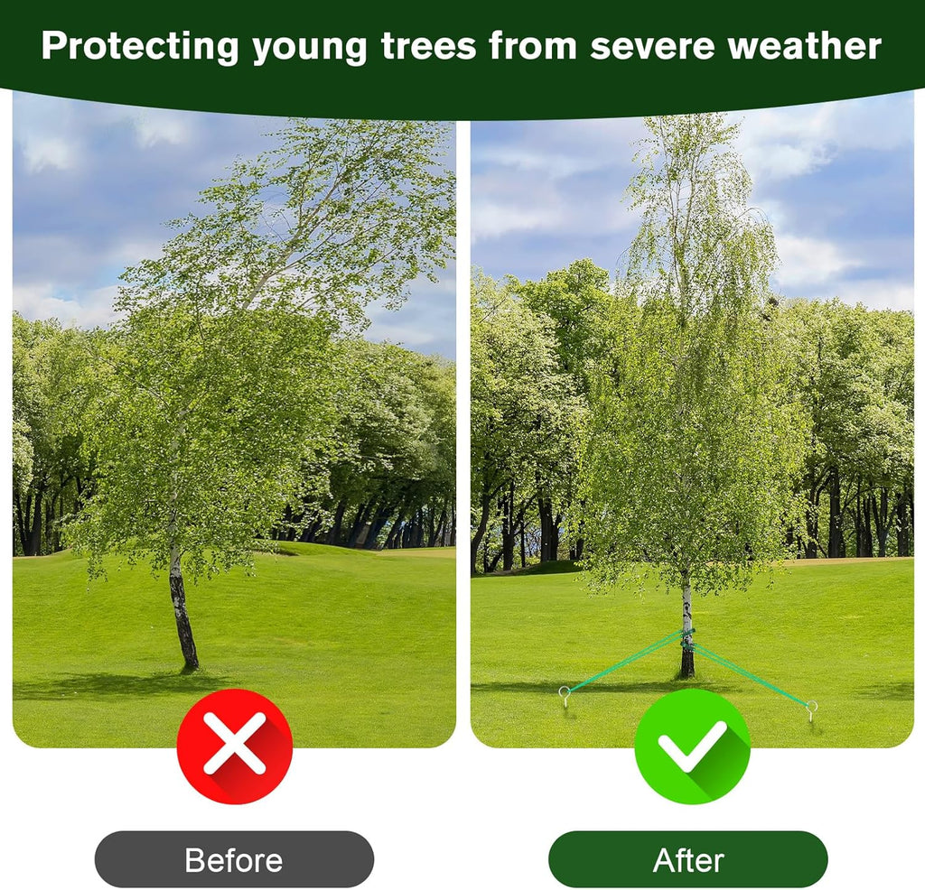 A Tree Support kit for straightening Trees, which Includes Supporting Metal Stakes and Ropes. It can Also be Used for Tree Protection in Harsh Weather and Outdoor Tent Fixation. (1)