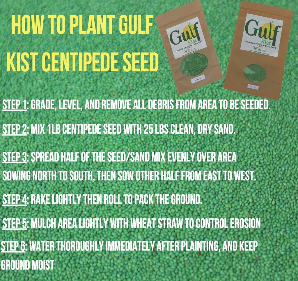 Centipede Grass Seed 5 Pound