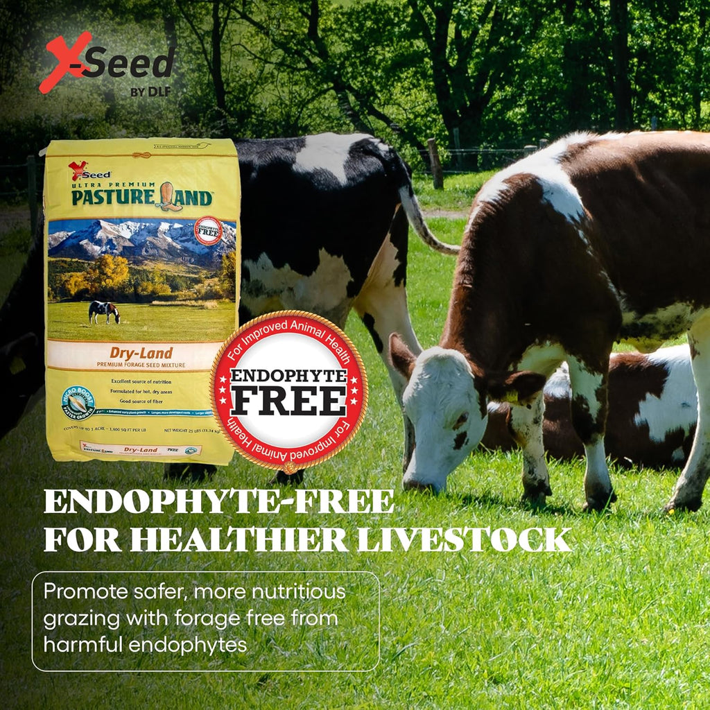 X-Seed Pasture Land Dry-Land Forage Seed Mixture with Micro-Boost – Tall Fescue Orchard Grass Ryegrass Endophyte Free Pasture for Safe Nutrition of Livestock, Formulated for Dry Areas – 25-Pound Bag