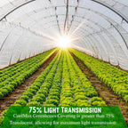 Farm Plastic Supply - Clear Coolmax Greenhouse Plastic Sheeting - 6 Mil - 4 Year UV Resistant Infrared Anti-Condensate Green House Covering Thermal Greenhouse Plastic 6 mil (20' x 80')