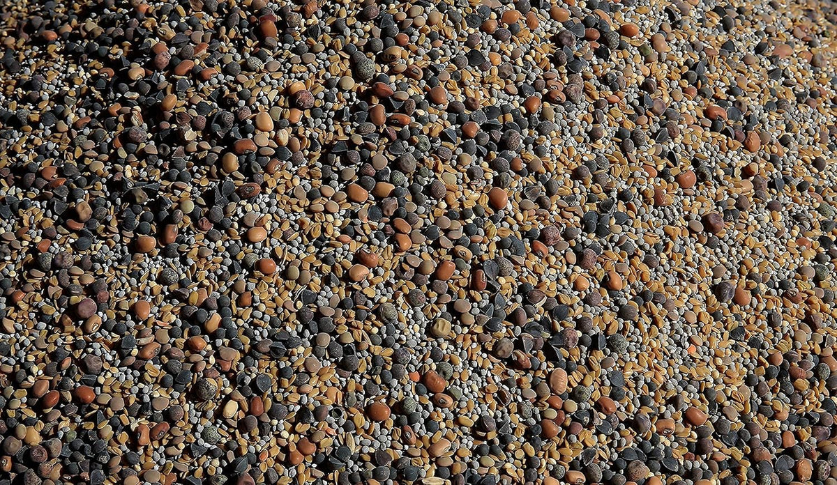 No-Till Cover Crop 13-Seed Mix (1 lb. Bag): [50% Clovers Plus Fenugreek, Vetch, Flax, Cowpeas, Buckwheat, Forage Peas, Millet, Lentils, Crimson Clover, Sweet Yellow, White Clover, Medium Red Clover]