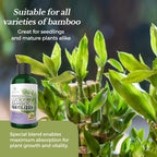 Professional Liquid Lucky Bamboo Fertilizer | 3-1-2 Concentrate for Flowering Plants | Multi-Purpose Blend & Gardening Supplies | 8 oz Bottle