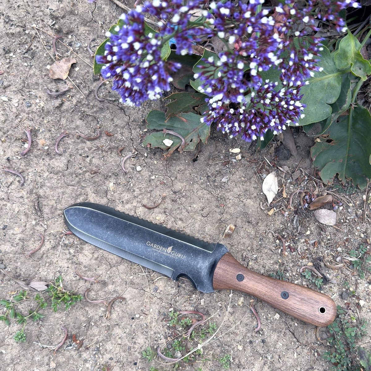 Garden Guru Hori Hori Gardening Knife for Weeding Digging & Cultivating - Stainless Steel Full Tang Blade, Walnut Wood Handle, Marks for Measuring Planting Depth, with Nylon Sheath - 1 Case (30 Pcs)