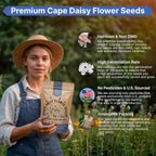 Cape Daisy Flower Seeds Pack 1 oz - Over 2,550 Non-GMO Heirloom Cape Daisy Seeds for Planting, Perennial Flowers in Individual Seed Packet, Seed for Planting Home Garden Indoor & Outdoor Gardening