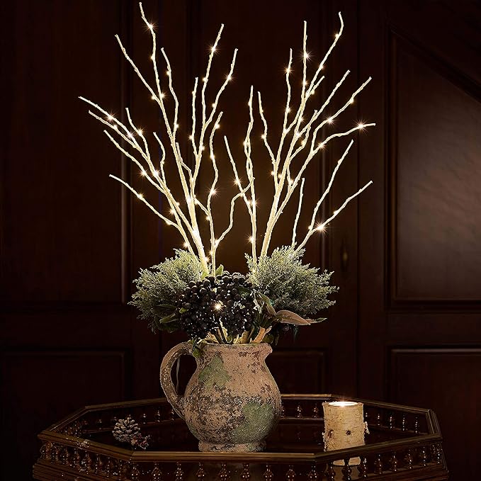 Hairui Lighted Birch Branches Battery Operated with 8 Functions 100 Multi Color and Warm White Lights, Pre Lit Twig Branches for Easter Christmas Party Room Decoration