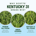 Scotts Kentucky 31 Grass Seed Mix for New Lawns or Overseeding, Grows Thicker and Greener vs. Other Kentucky 31 Mixes, Covers up to 5,000 sq. ft.