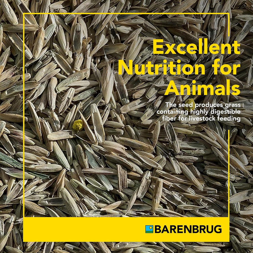 Pasture Seed, 25 lb 23094