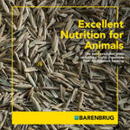 Pasture Seed, 25 lb 23094