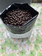 HORTIPOTS 3 Gallon Grow Bags Made of Black White Poly Film (50 Pieces per Pack)