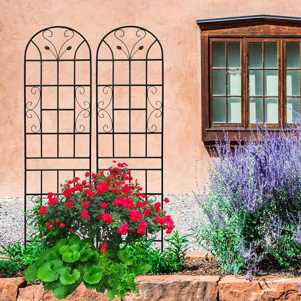 2 Pack Metal Garden Trellis 86.7" Tall Outdoor Climbing Plant Support for Roses, Flowers, Rustproof Durable Black Galvanized Tube, Lawn Garden Fence Decor Screen (2, Black curves-86.7" H)