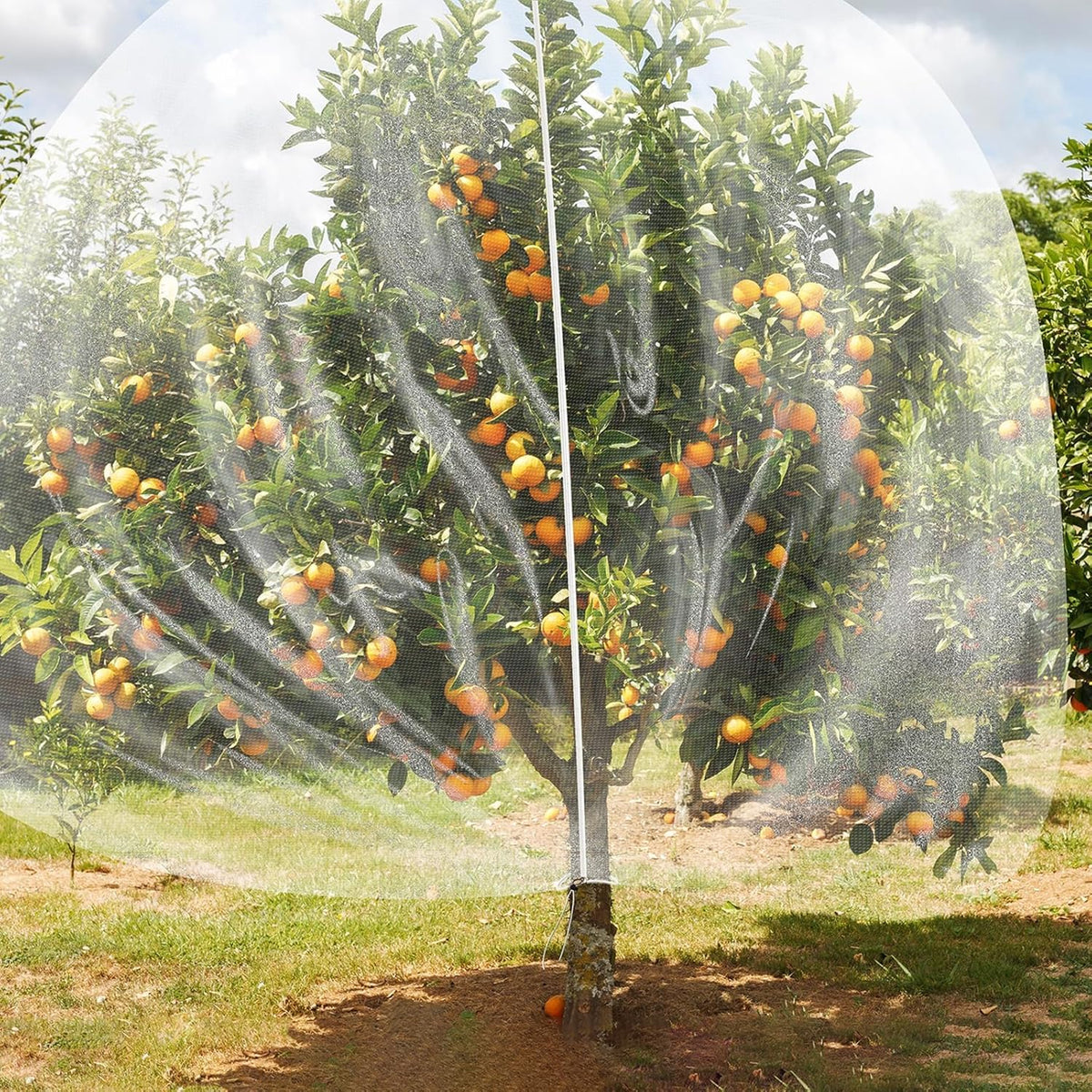 TWOWYHI 2Pack Garden Netting 10X10 Feet Large Fruit Tree Netting with Zipper and Drawstring Insect Bird Cover for Fruits Vegetables Tree Garden Protection