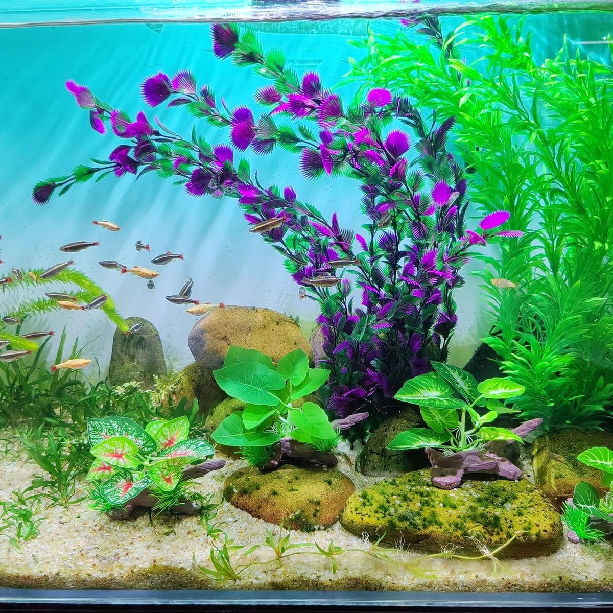20.47 Inch Tall Aquarium Plants – Large Lifelike Artificial Fish Tank Decorations, 2 Pcs Fish Tank Plants Plastic，Durable & Safe for Freshwater/Saltwater Aquariums (Purple (Style C))