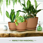 Plant Pots Indoor with Drainage, 5 Pack Multi-Size Planters Set, Terracotta